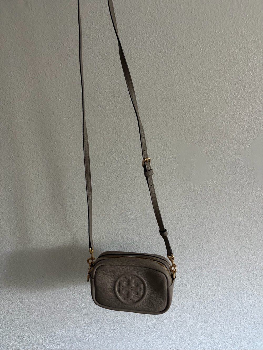 Tory Burch Small Leather Camera Bag in Mushroom